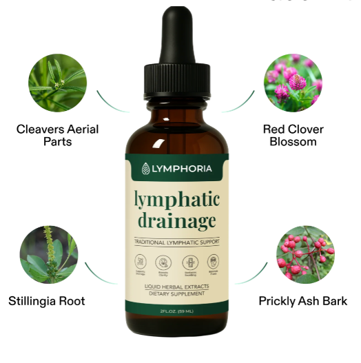 Made with Clean, Plant-Based Ingredients